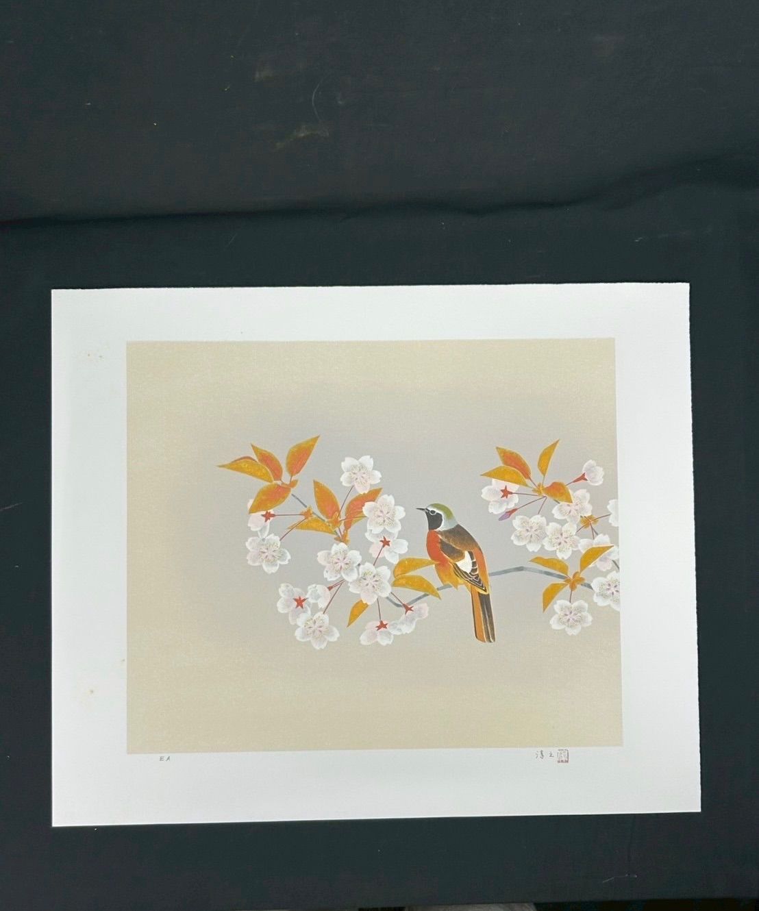 幽玄】上村淳之画集 特装本 限定 直筆サイン入 上村松園 上村松篁 動物