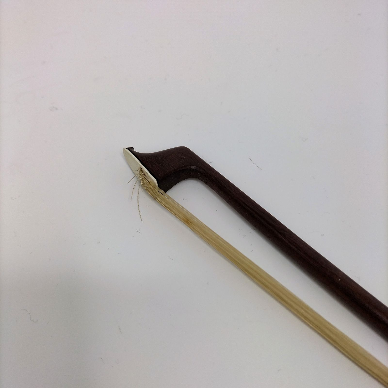 バイオリン ステンター