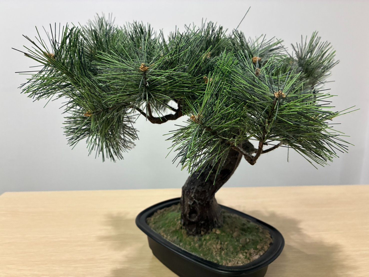 高品質 人工盆栽 松 フェイク盆栽 置物 大型 手入れ不要 和風インテリア 店舗装飾 旅館 受付
