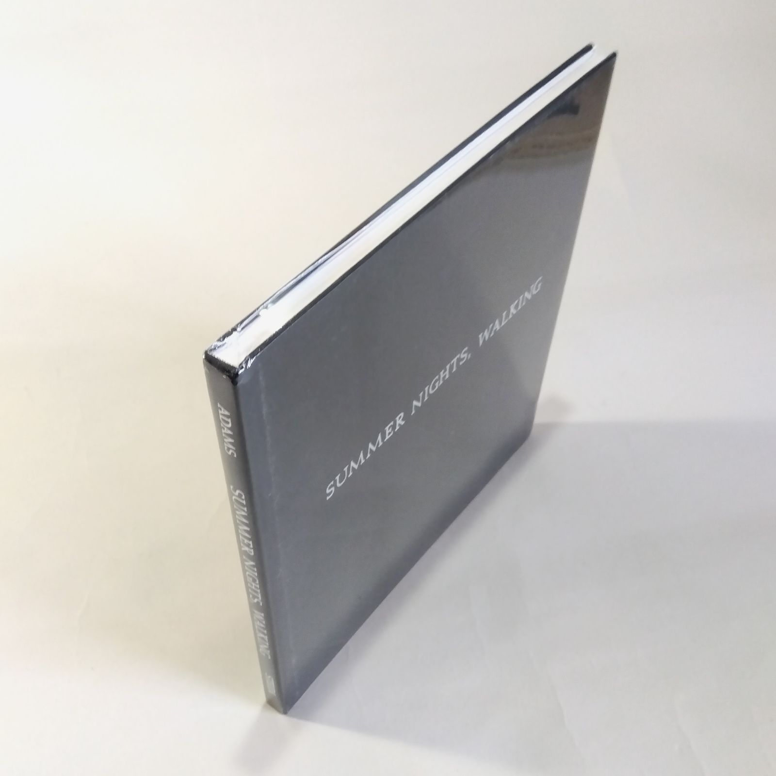 Robert Adams: Summer Nights, Walking - メルカリ