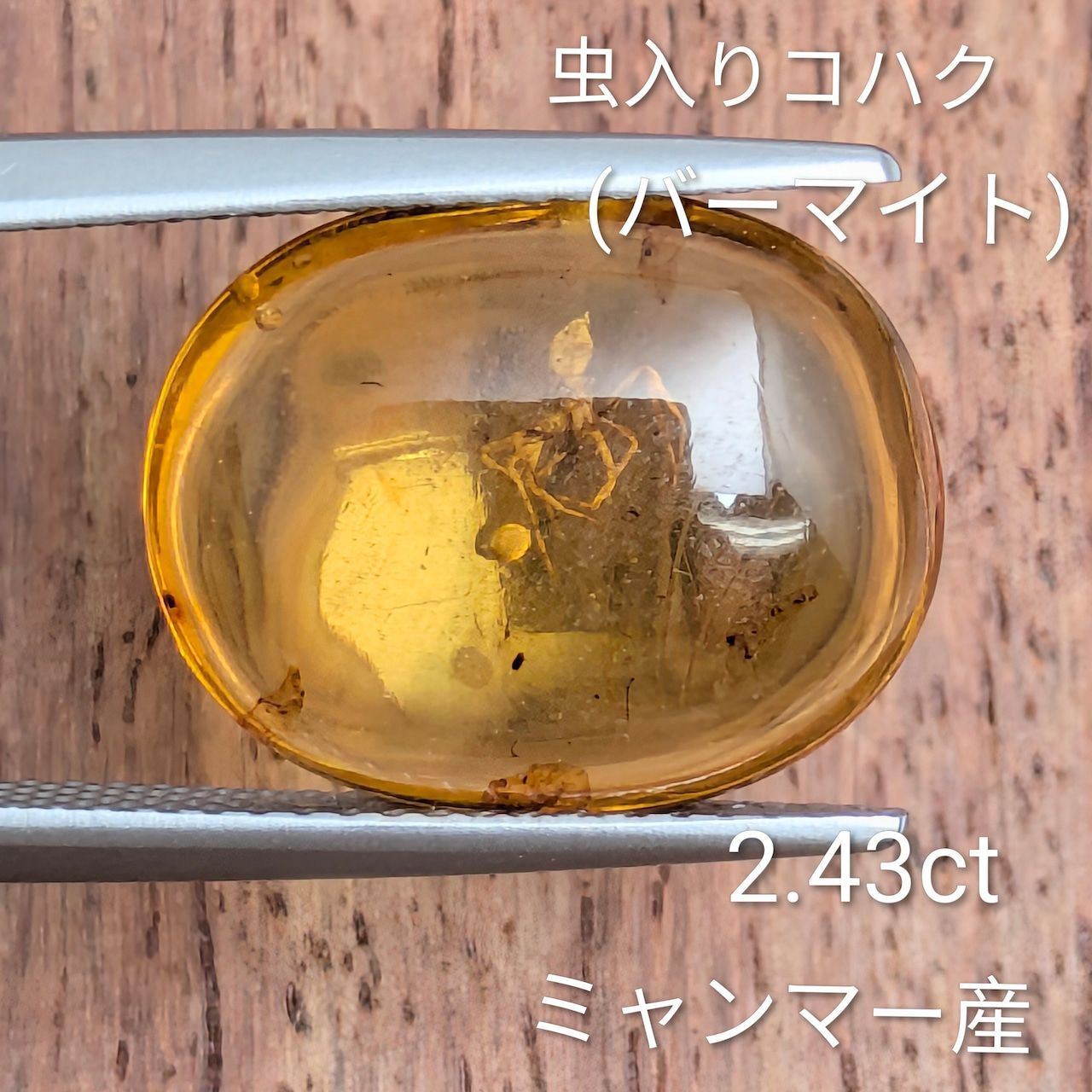 虫入りバーマイト ミャンマー産【2.43ct】PRO207910 - メルカリ