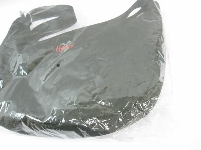 アーティスト HANA