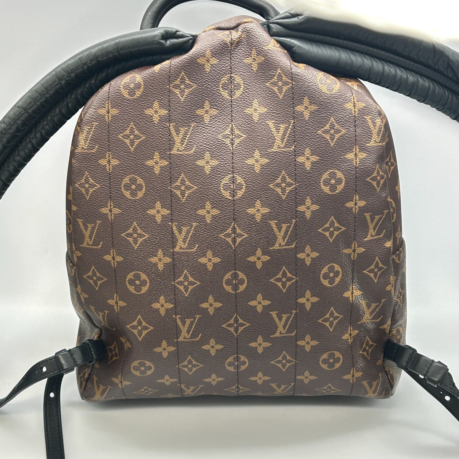 Louis Vuitton ルイヴィトン モノグラム パームスプリングス MM