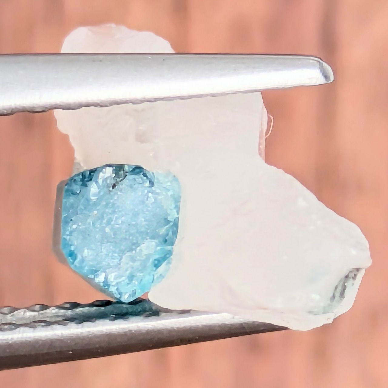 パレーリャス産