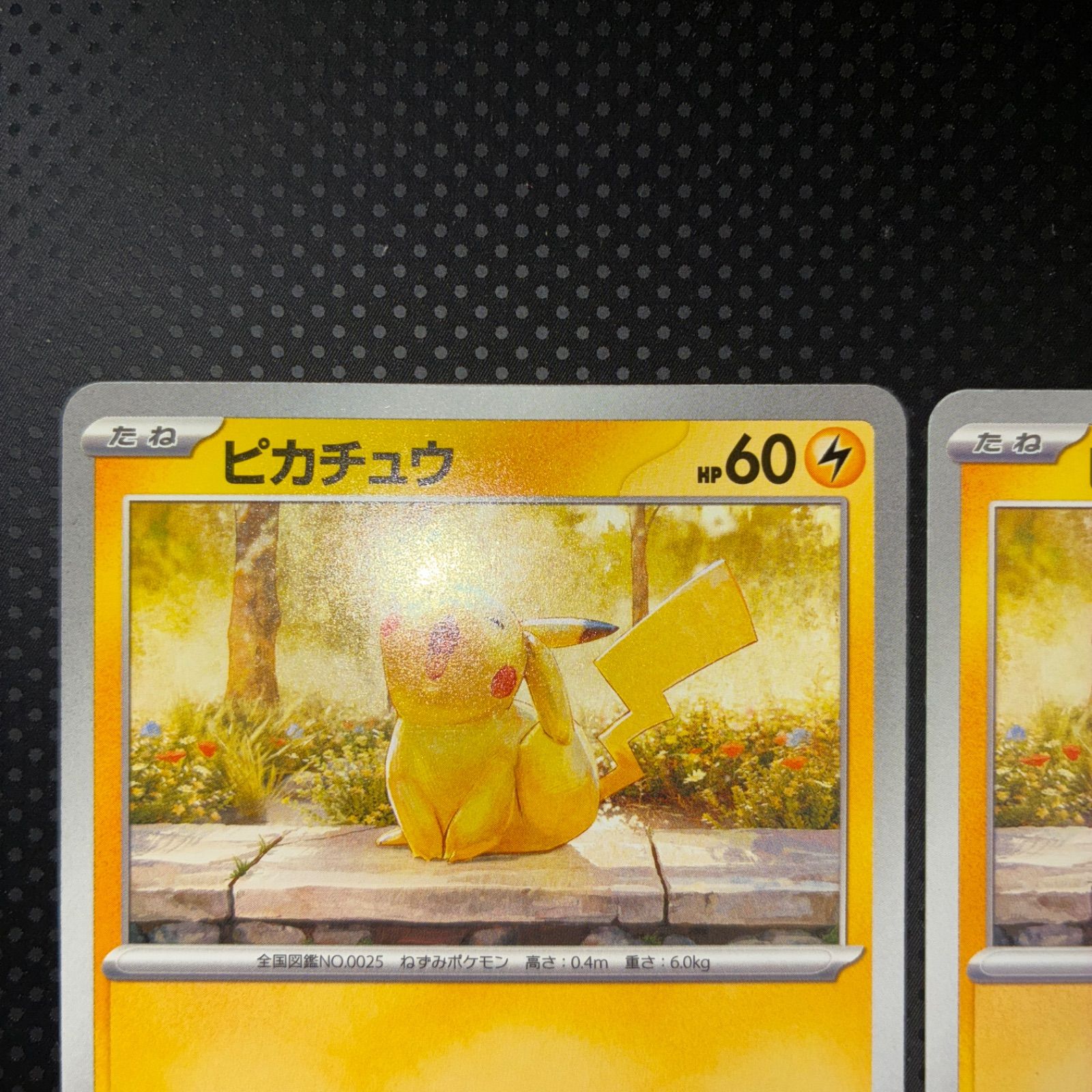 状態S ピカチュウ イラストレーションコンテスト 2024 2枚 プロモ