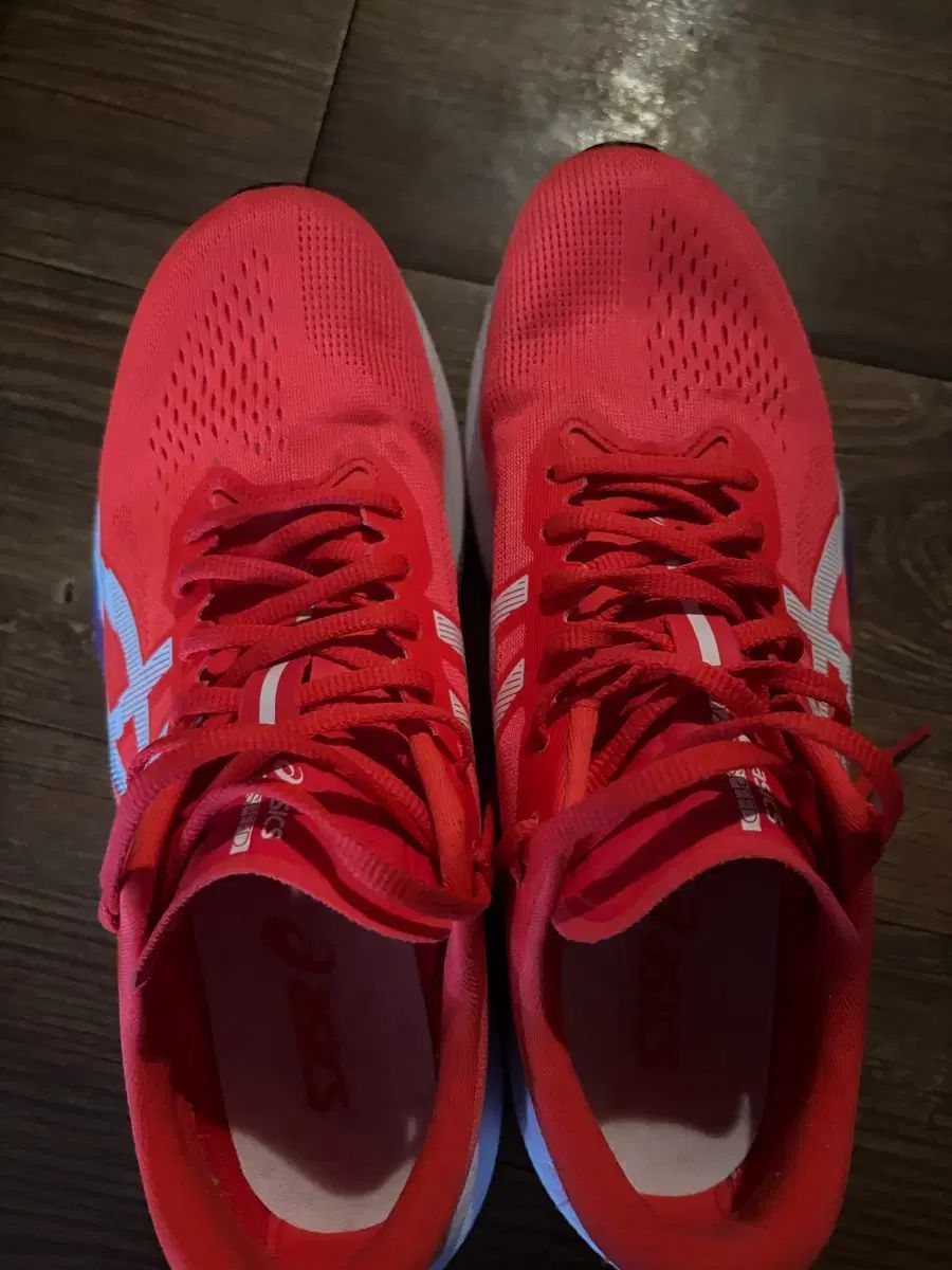 アシックス マジックスピード4 レッド 280