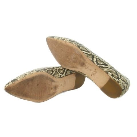 パイソン 大きいサイズ