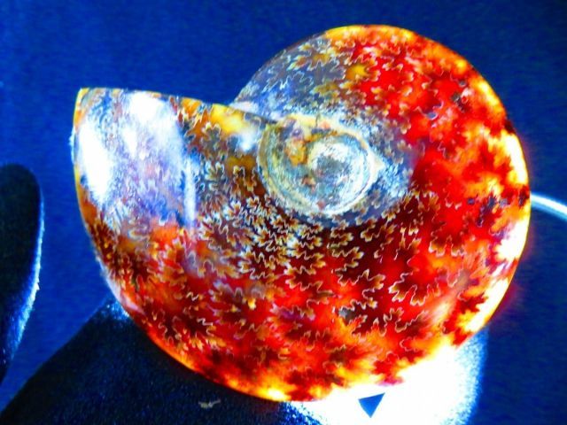 絶品数万個の中の一個☆天然マダガスカル産 ☆ 縫合線オパール