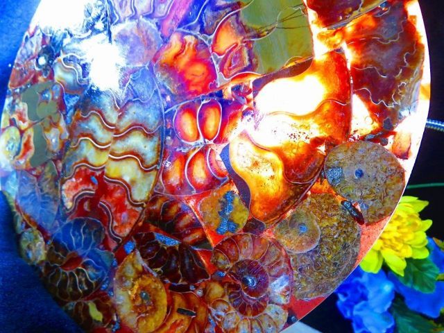 数万個の中の一個☆天然マダガスカル産 ☆ 縫合線オパールアンモナイト