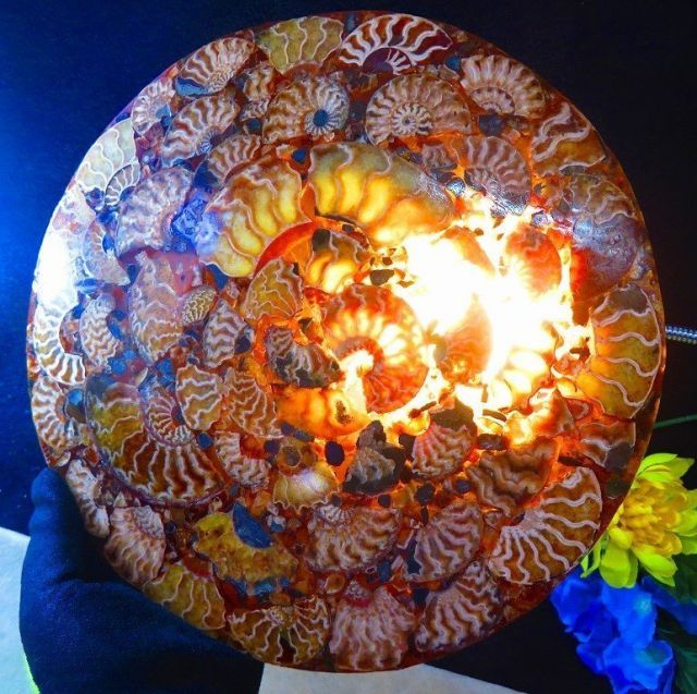 数万個の中の一個☆天然マダガスカル産 ☆ 縫合線オパールアンモナイト