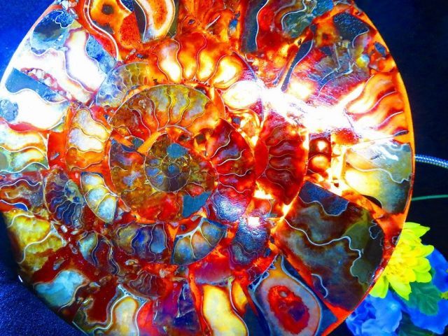 数万個の中の一個☆天然マダガスカル産 ☆ 縫合線オパールアンモナイト