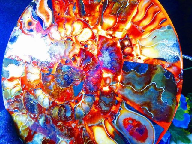 数万個の中の一個☆天然マダガスカル産 ☆ 縫合線オパールアンモナイト