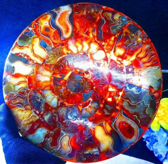 数万個の中の一個☆天然マダガスカル産 ☆ 縫合線オパールアンモナイト