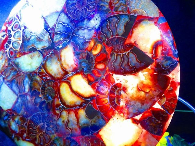 購入 数万個の中の一個☆天然マダガスカル産 ☆ 縫合線オパール