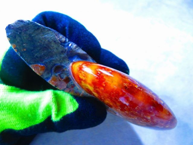 超限定品天然マダガスカル産オパールアンモナイト 化石 100個 超巨大型15ｋｇ 数万個の中の一個☆天然マダガスカル産 ☆ 縫合線オパールアンモナイト