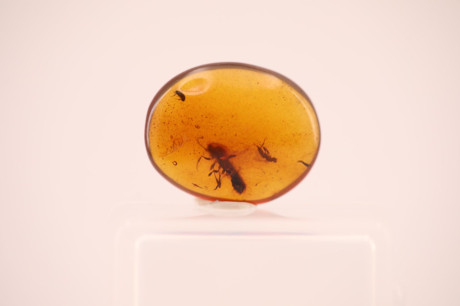 天然琥珀 虫入り琥珀 虫珀 ルース 標本 一点物 HPA01017