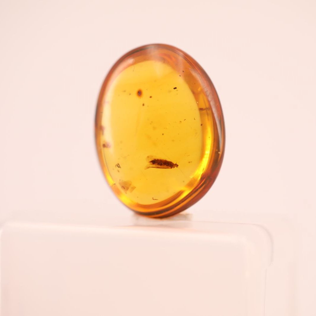 天然琥珀 虫入り琥珀 虫珀 ルース 標本 一点物 HPA01021 - メルカリ
