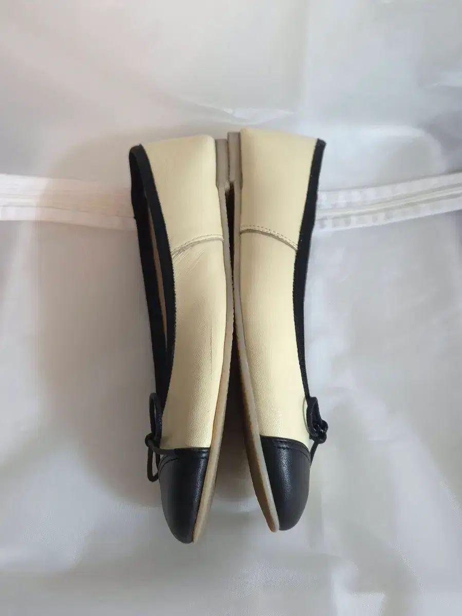 ホワス マリアフラット