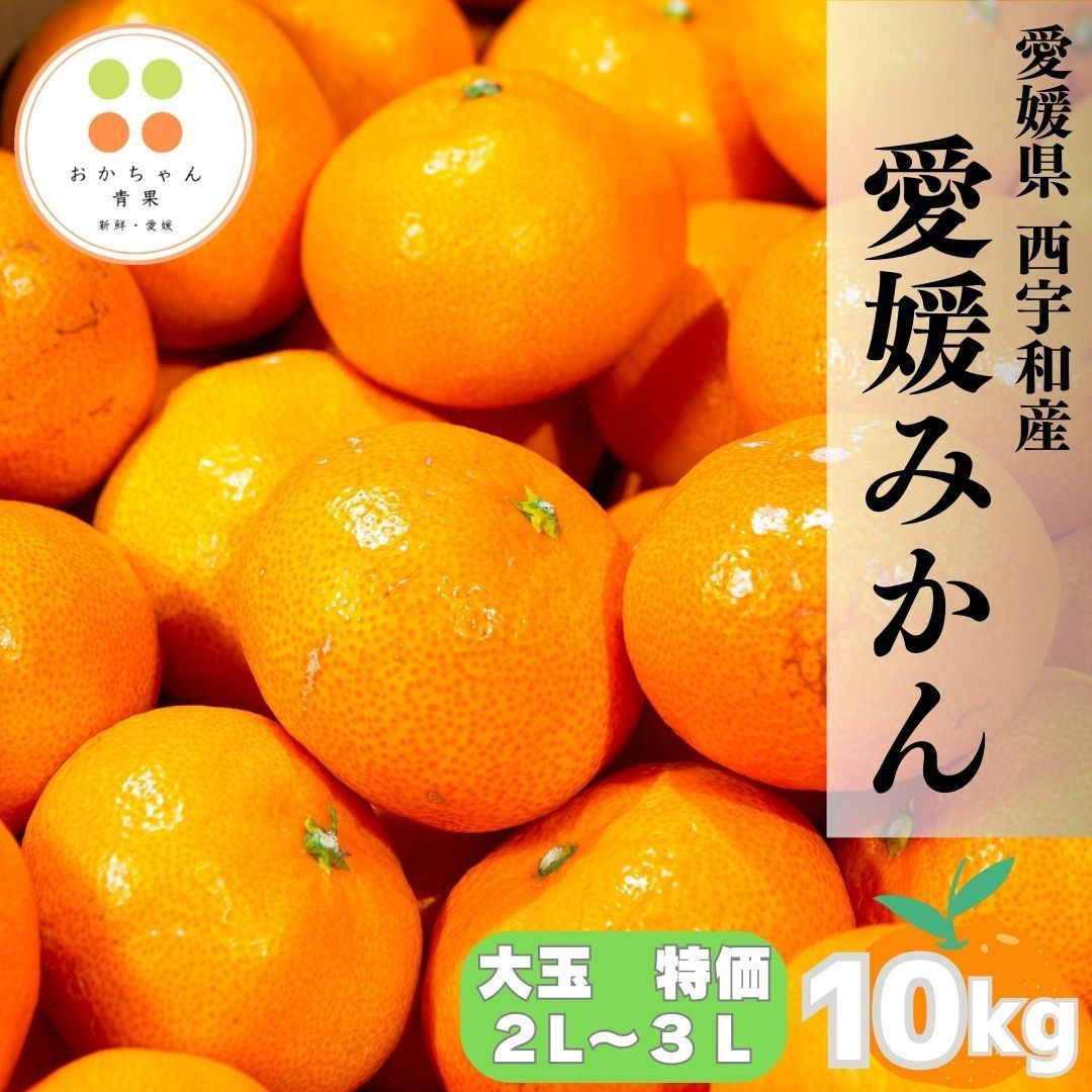 ぐんぐん玉残り1セットのみ1㎏業務用増量タイプ通常15,000円→10,000円 大玉セール 愛媛みかん 西宇和産 大玉くん【2L〜3L】 お得に
