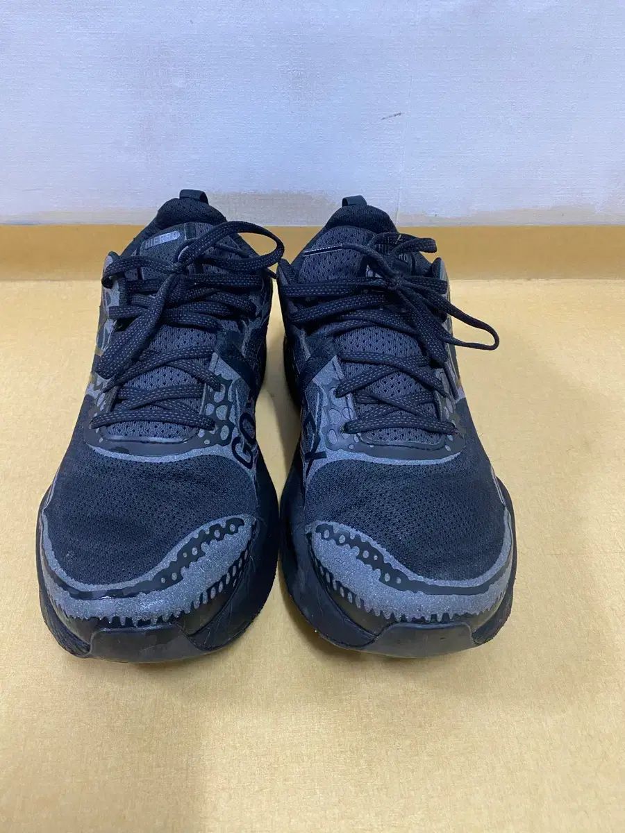 ニュー ンス フレッシュフォーム イエロ V 8 GORE-TEX 265