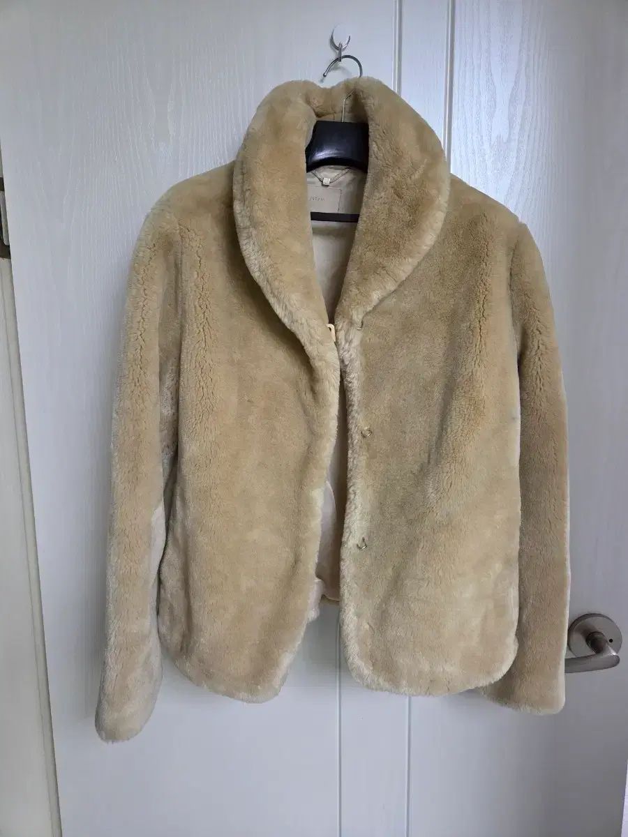 オリーブの木 盆栽風 ミッション 8号 約45cm NO.757 人気 現品掲載