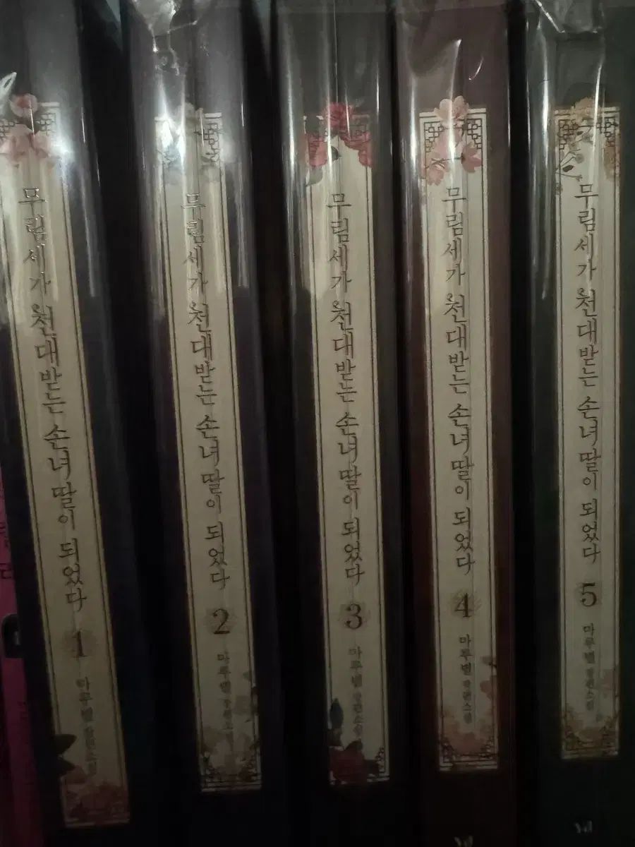 武林セガ 冷遇される孫娘になった小説