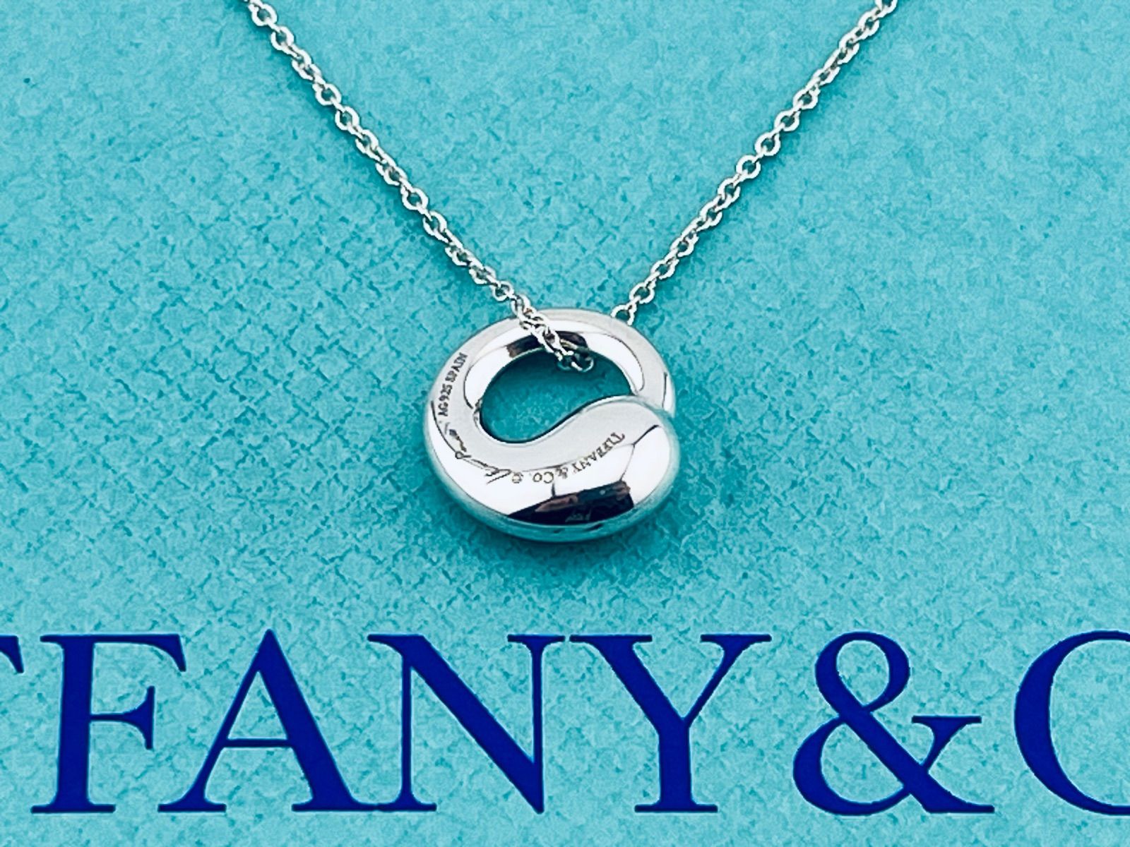a192 美品 Tiffany&Co. ティファニー エターナルサークル ネックレス