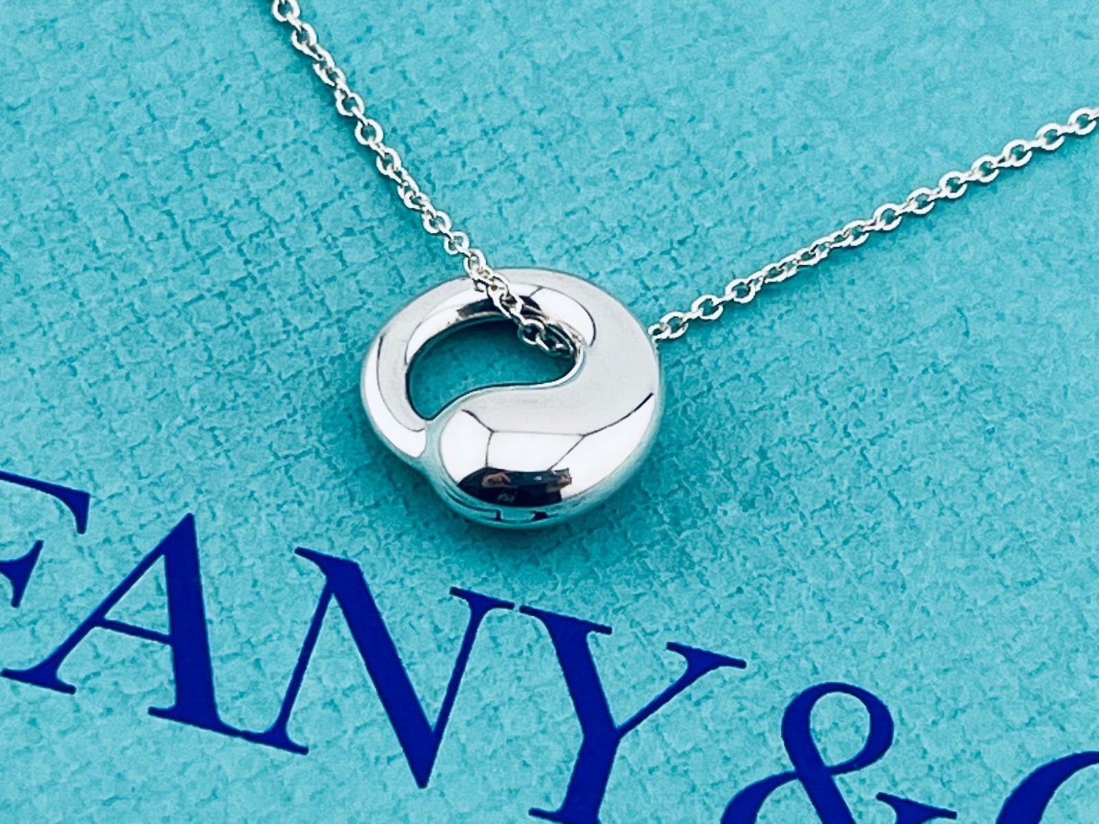 a192 美品 Tiffany&Co. ティファニー エターナルサークル ネックレス
