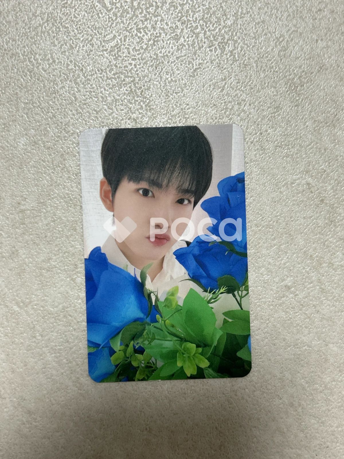 TREASURE ジュンギュ NIGHTGARDEN 4カットフォト 当選 TREASURE ジュンギュNIGHT GARDEN ナイトガーデン SCRAP - メルカリ