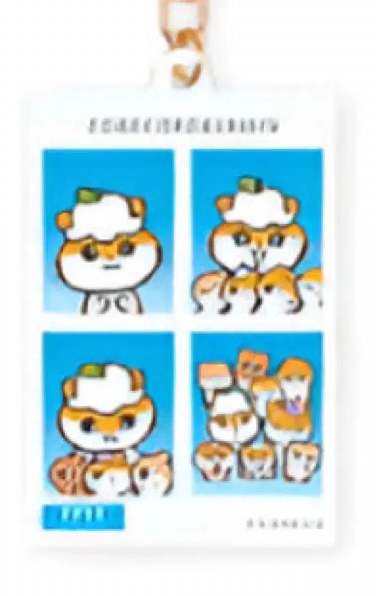 最後のサンリオ クーリクーリクーリリング 証明写真キーホルダー