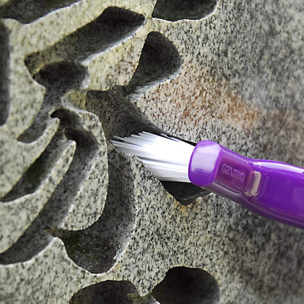 ブラヘアアルマータ　6号ポットつき　4株セット❗　① ブラヘア 39株 24ポット ブラヘア 39株 24ポット