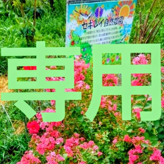 大歓迎(*^▽^)/☆様専用です。 - メルカリ