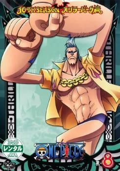 訳あり】ONE PIECE ワンピース 10THシーズン スリラーバーク篇 R-8