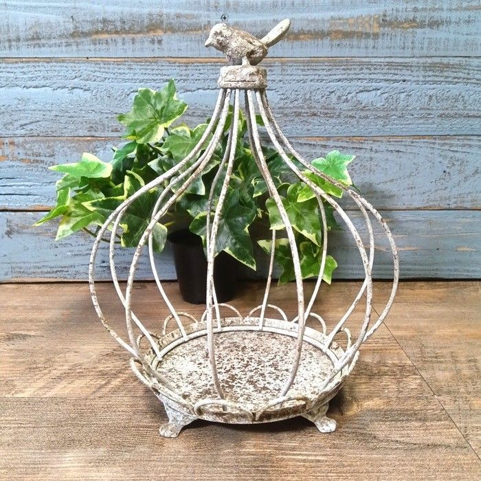 鳥かご　ガーデニング雑貨 ガーデニング 雑貨 プランツケージ バードケージ 鳥かご 庭 ガーデン