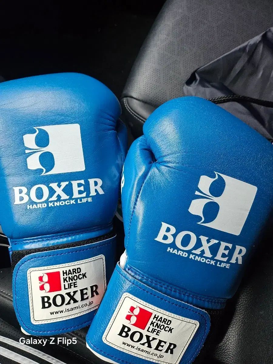 Boxer グローブ イサミボクシング ボクサー グローブ ボクシング