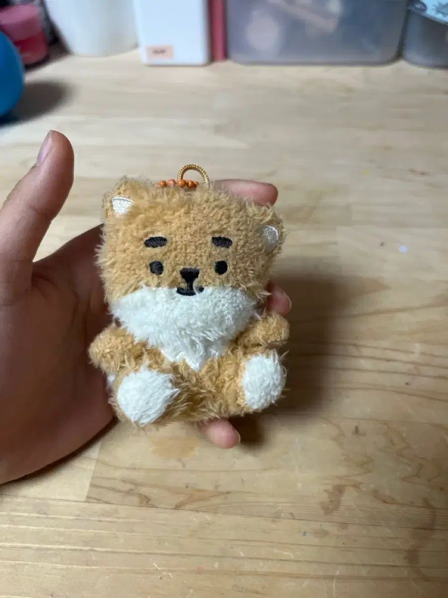 DAY6 ヨンケイ(Young K) ぬいぐるみ - メルカリ