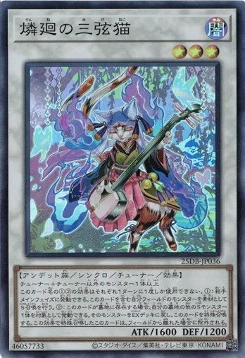 燐廻の三弦猫 【スーパーレア】 25DB-JP036 遊戯王 トレカ道 - メルカリ