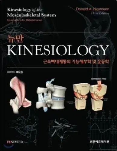 ニューマン Kinesiology 第3版 PDF