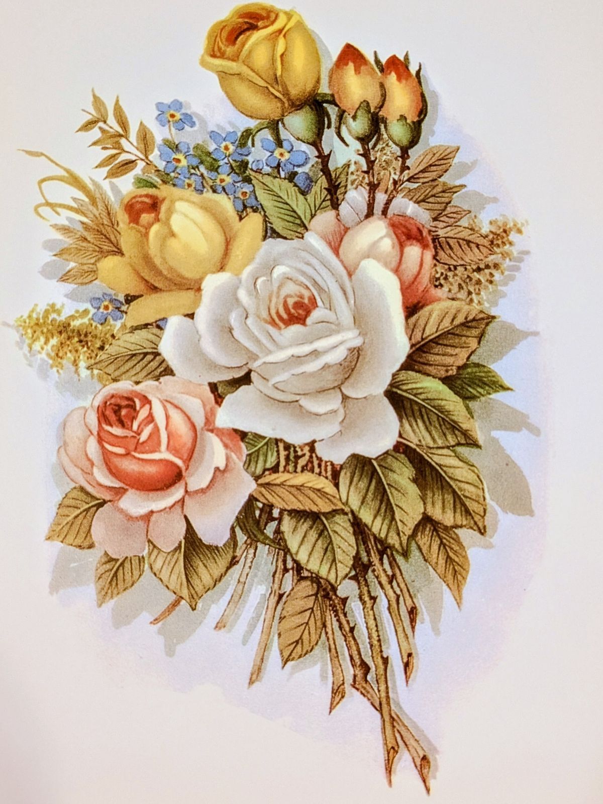 199 シャドーボックス プリント 7枚 フラワー - メルカリ