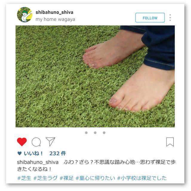種類5:直径約185cm ふっくら贅沢な芝生風ラグ シーヴァ 正方形 長方形 円形 各3サイズ ウレタン入り 滑りにくい加工 本物にちかい雰囲気 蒸れにくい オールシーズン ホットカーペット対応 シーヴァ ラグ ウレタン入り コーラルふっくら贅沢な芝生風ジョイントマット 約60×60cm ふっくら贅沢な芝生風