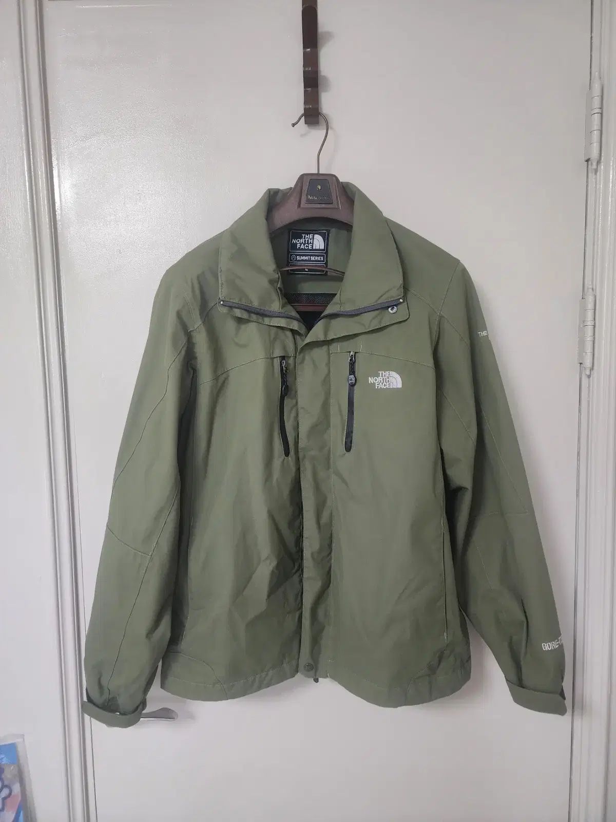 海外 THE NORTH FACE ゴアテックス ジャケット L 100