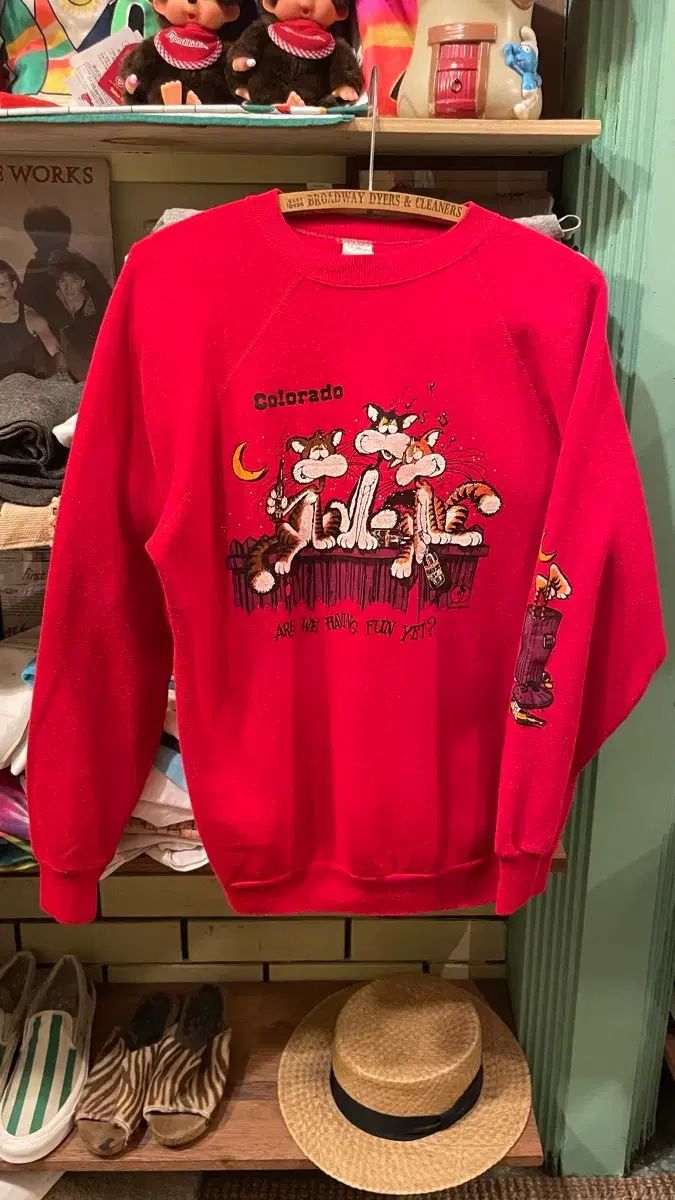 1980s 90s ヴィンテージ グラフィックスウェットシャツ USA