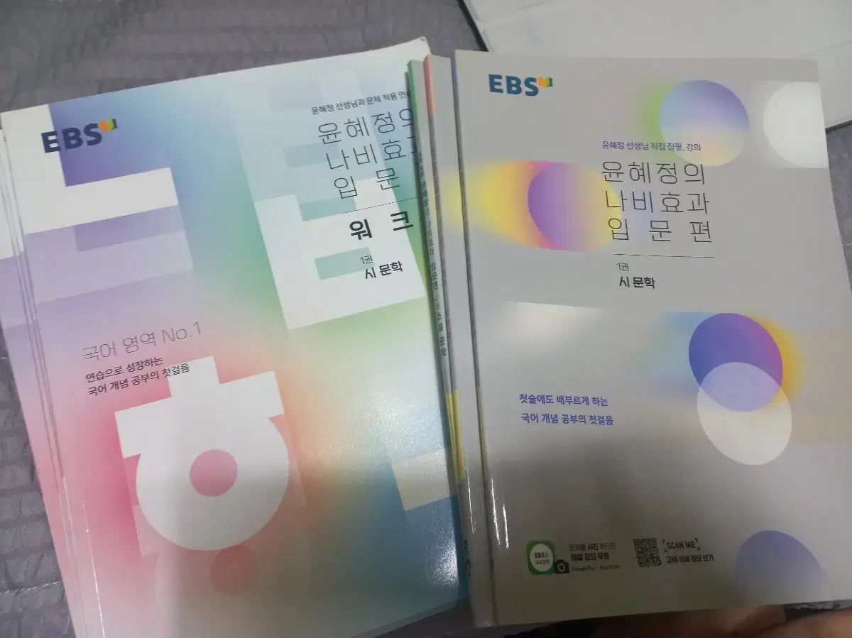 EBS ユン・ヘジョンの バタフライ効果 入門編 ワークブック 文学 EBS