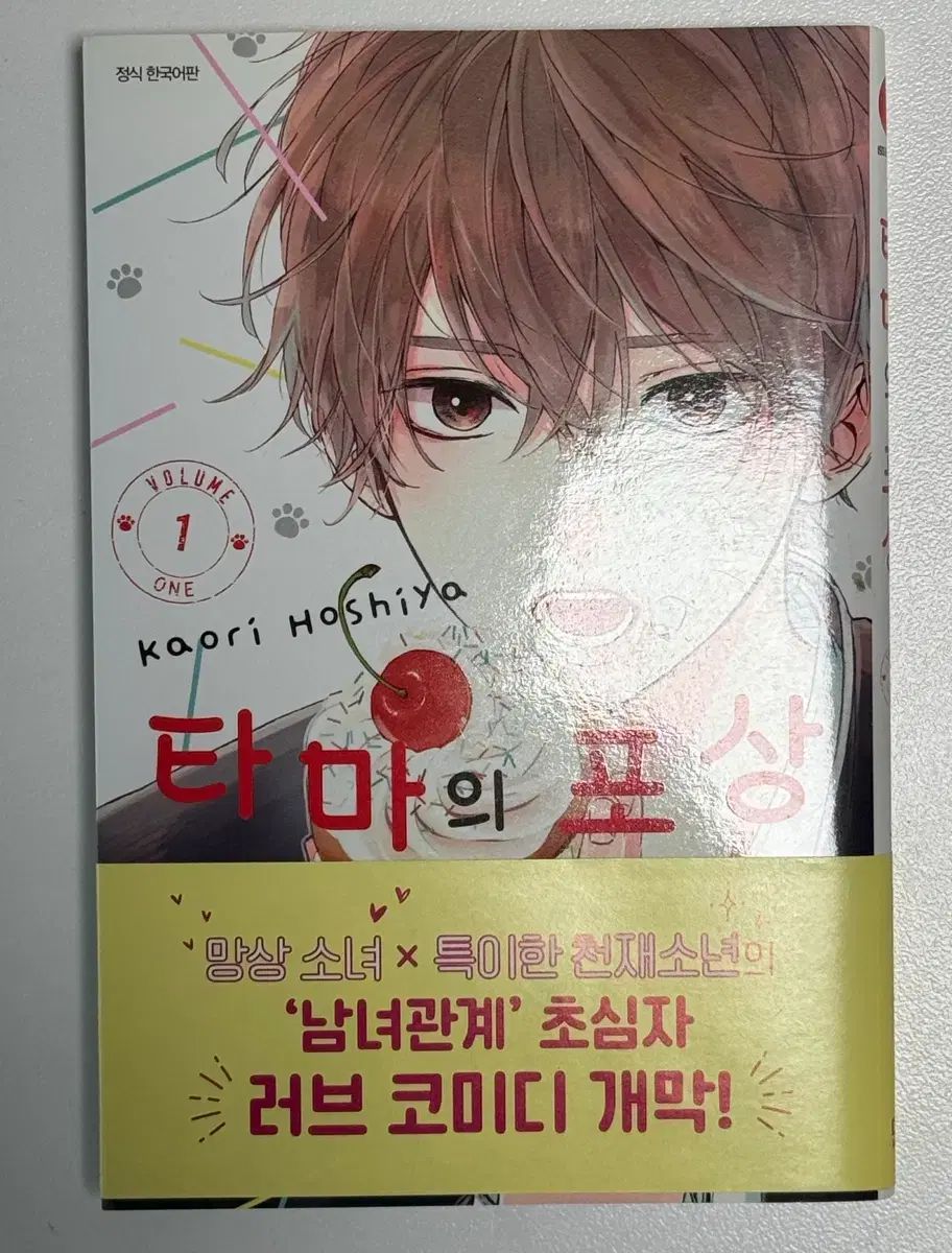 セット】アルテ コミック 1-20巻セット (コアミックス) [Comic] 大久保圭