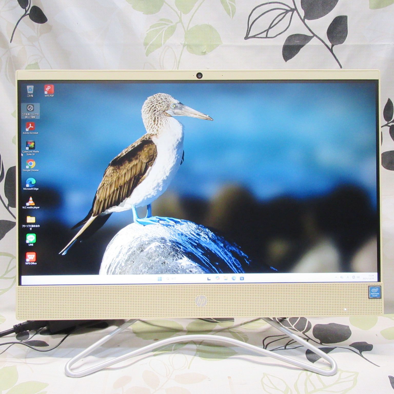 特価Win11公式対応CPU/メ8/新品SSD/DVD/TypeC/無線/カメラ 特価Win11公式対応CPU/メ8/新品SSD/DVD/TypeC/無線/カメラ Win11高性能