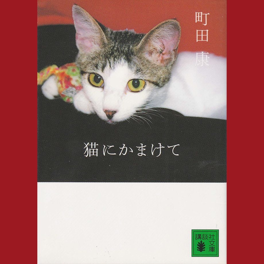 book252］猫にかまけて 著／町田 康 - メルカリ
