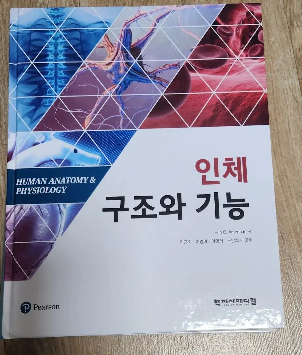 24時間以内発送 完売品 L S Logo Hooded Sweatshirt 24時間以内発送 ディスカウント 完売品 L S Logo Hooded Sweatshirt 24