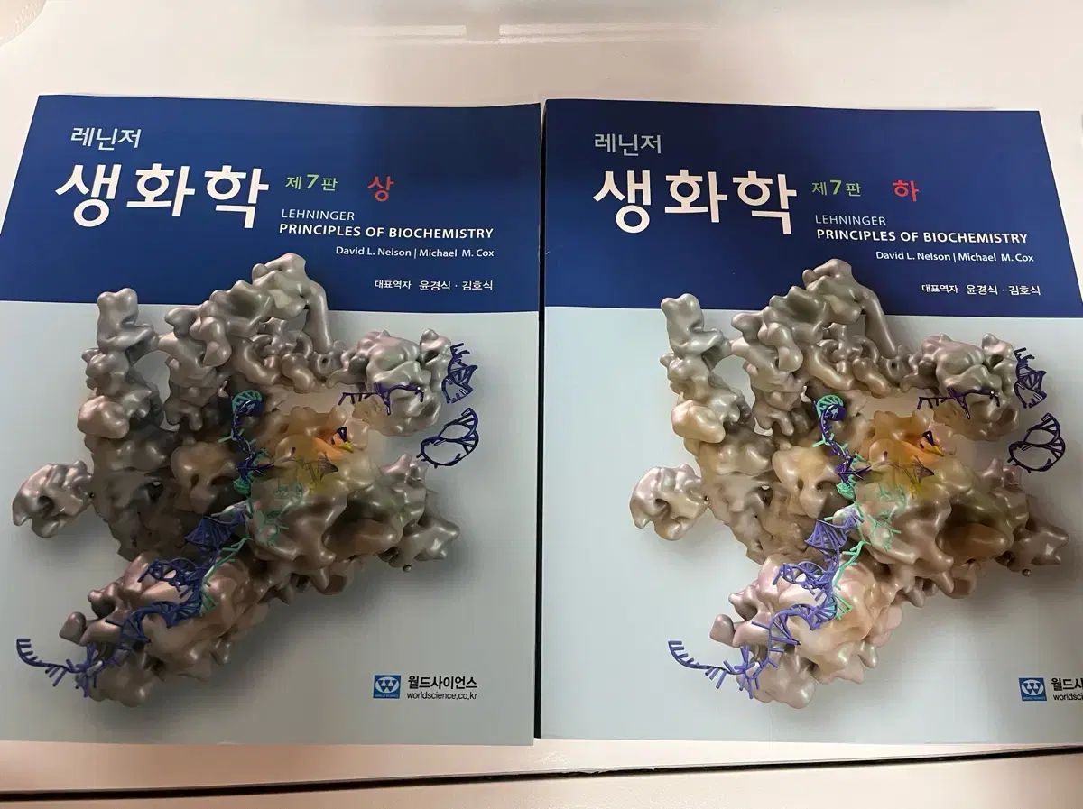 レーニンジャーの新生化学　上下セット レーニンジャーの新生化学 上下セット