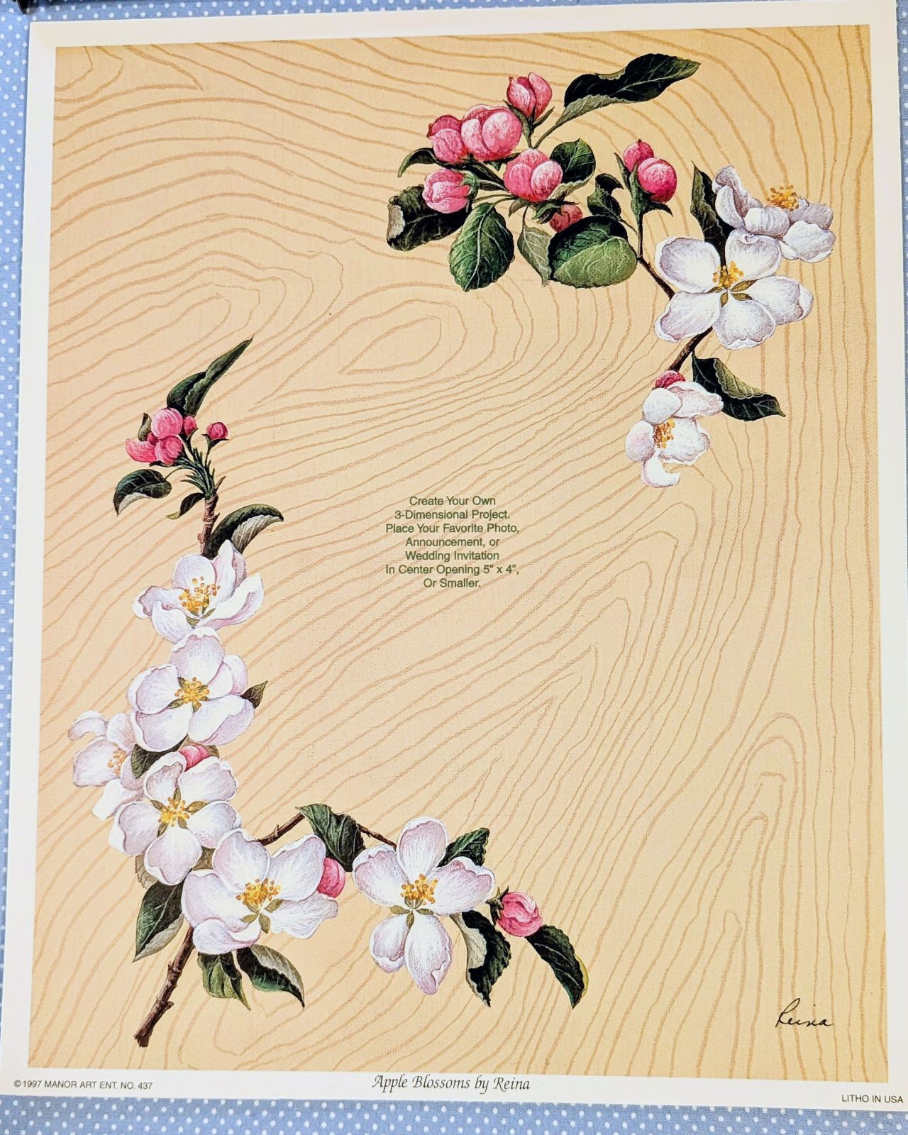 シャドーボックス 完成品 キムジャコブス ドライフラワー ハンドメイド シャドーボックス 完成品 キムジャコブス ドライフラワー ハンドメイド