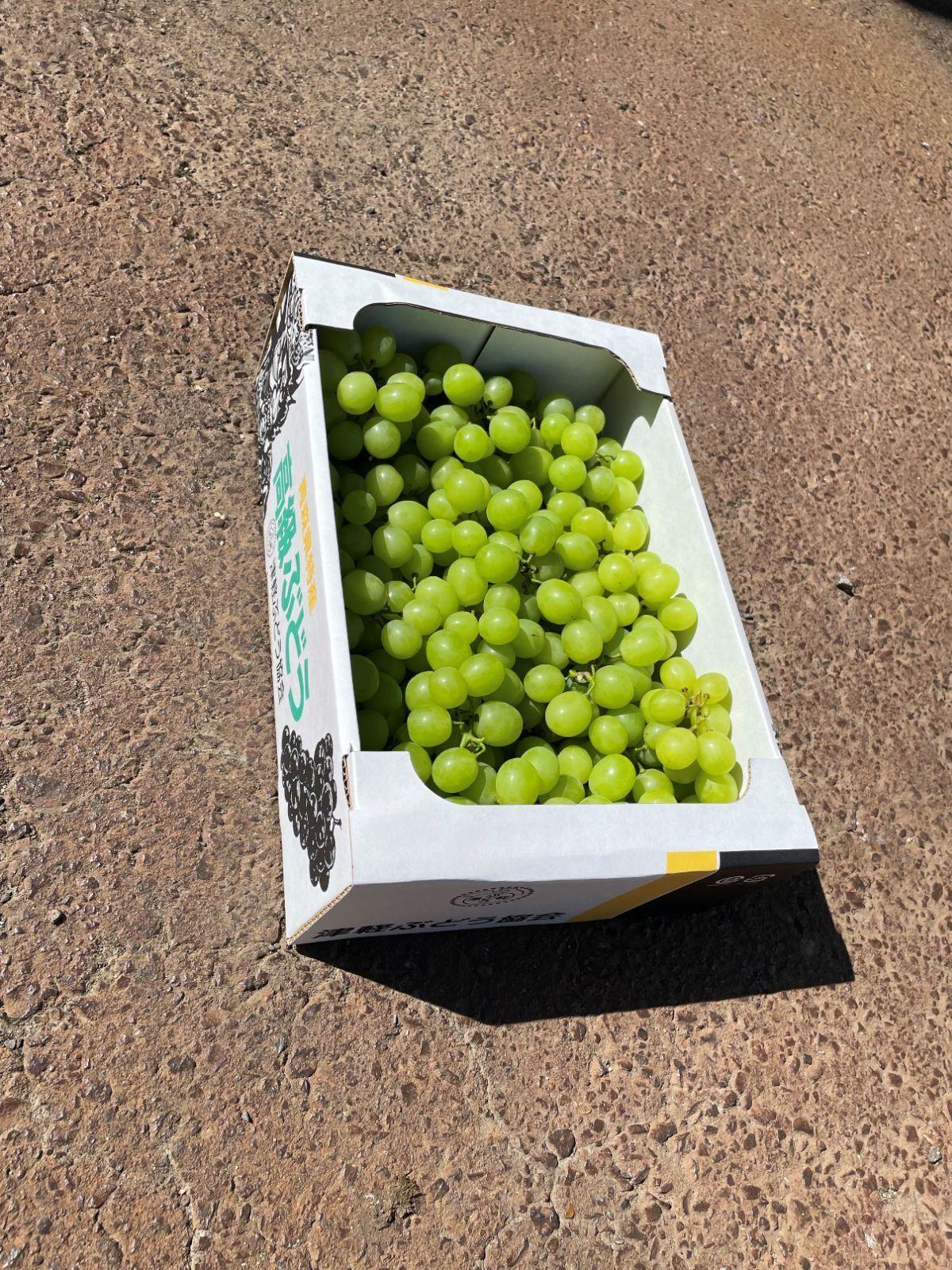 シャインマスカット家庭用小粒多め入り本日限定特売品になります。5キロパック入り k.s様専用】青森産シャインマスカット5kg 送料無料 - メルカリ